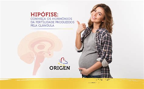 Hip Fise Conhe A Os Horm Nios Da Fertilidade Produzidos Pela Gl Ndula