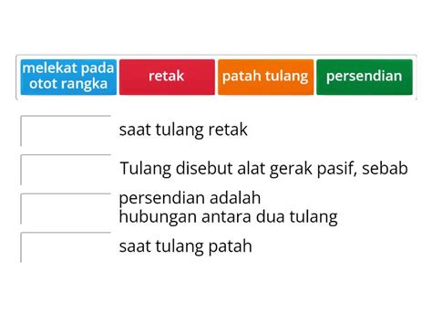 Sistem Gerak Match Up