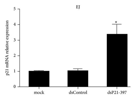 Dsp21 397 Induces P21 Expression By Targeting A Complementary Promoter Download Scientific