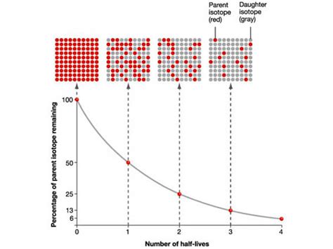 half life graph