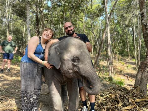 Chiang Mai Excursión en Grupo al Santuario de Elefantes y la Cascada