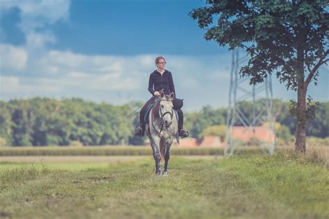 Horse Riding Photos, Download The BEST Free Horse Riding Stock Photos ...