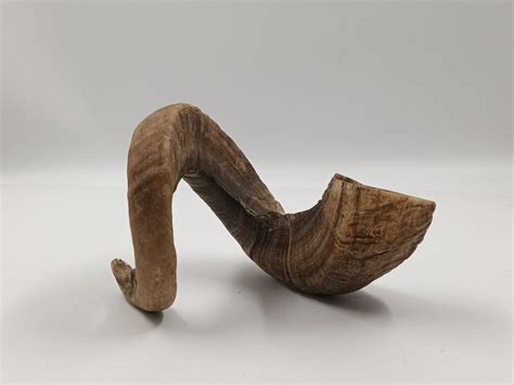 Vintage Shofar / Rams Horn - Drumattic