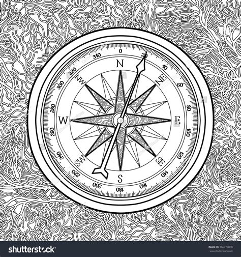 Graphic Wind Rose Compass Drawn Line Stock Vector Royalty Free 366779030 Shutterstock