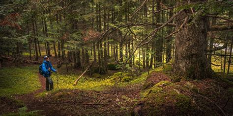 Prueba Los Ba Os De Bosque En La Val De Tor N Visitvaldaran