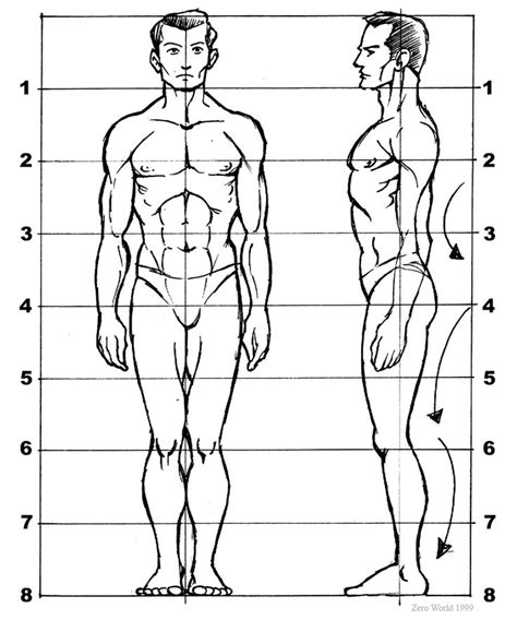 Human Figure Drawing Drawing Proportions Figure Drawing Models