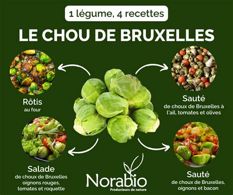 Chou De Bruxelles Norabio