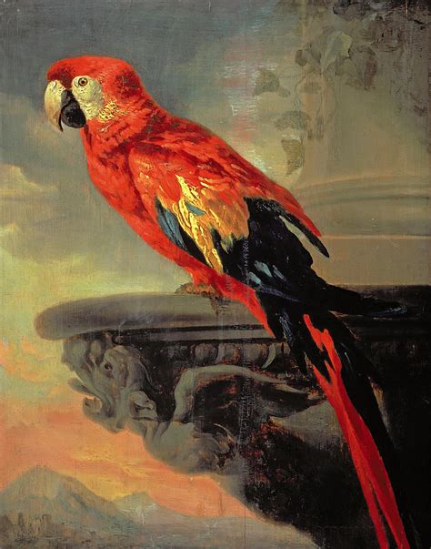 Parrot Painting By Peter Paul Rubens