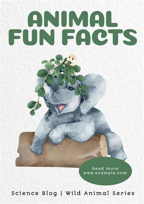 Animal fun facts poster template, | Premium Editable Template - rawpixel