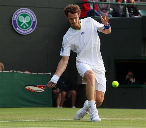 Andy Murray Britain Returns Tobias Kamke Editorial Stock Photo Stock