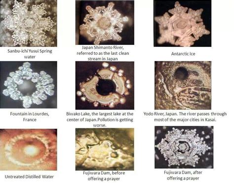 Dr Masuro Emoto Philosopher Photographer Scientist Reveals Dynamics Of Water And Snowflake