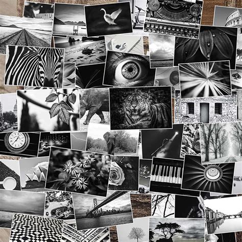 Collage De La Pared En Blanco Y Negro Imagen Kit Estético De