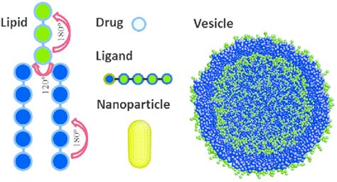 Schematic Representation Of The Dissipative Particle Dynamics Model In