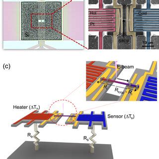 (a) Optical and (b) enlarged scanning electron microscope (SEM) images ...