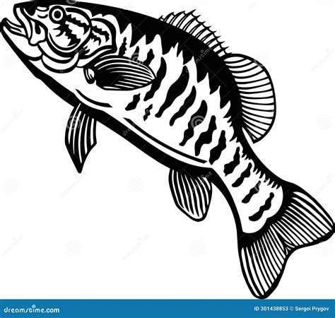 Smallmouth Bass Jumps Out Of Water Illustration Isolate Realistic