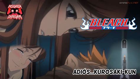 Resumen cap 141 142 y 143 Bleach Arrancar Infiltración a Hueco Mundo