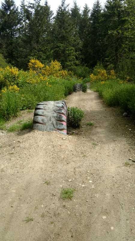 Swan Creek Mountain Bike Trail In Tacoma Washington Directions Maps