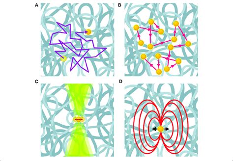 Microrheology Using Different Techniques For Passive And Active