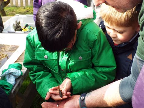 Nunnery Wood Primary School Eco Council