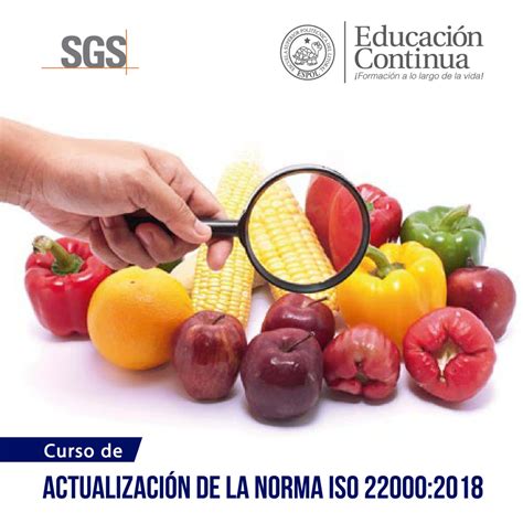 Actualizaci N De La Iso Sistemas De Gesti N De La