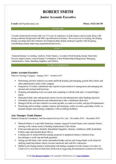 Accounts Executive Resume Samples Qwikresume