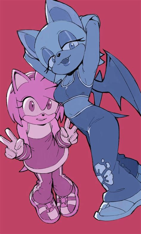 Amy and Rouge ~ Sonic Riders outfits. (By @Woogleboy) : r/SonicTheHedgehog