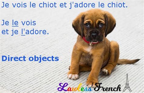 Me Te Le La Nous Vous Les French Direct Object Pronouns Cod