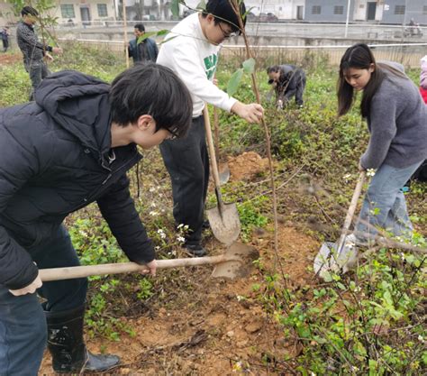 镇街动态【雁归英德 赢得未来】英城街道乡村振兴人才驿站组织返乡大学生和乡贤开展乡村绿化宣传和实践交流活动英德市人民政府网