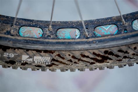 WTB Ranger Review, 29+, 3.0, TCS Tough - BIKEPACKING.com