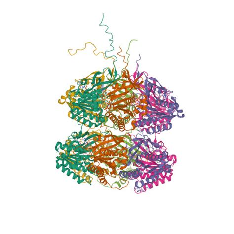 Rcsb Pdb Dvl Crystal Structure Of Full Length Circadian Clock