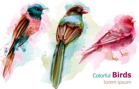 Acuarela De Coloridas Aves Tropicales Vector Premium