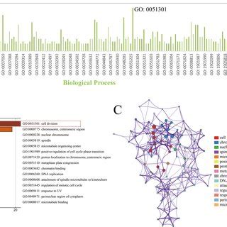 RAD51 Was An Indicator Of Poor Survival And AI Resistance In Breast