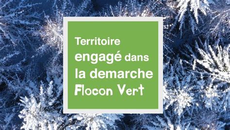 Plus vertes mes Savoie atelier flocon vert à La Plagne France Bleu