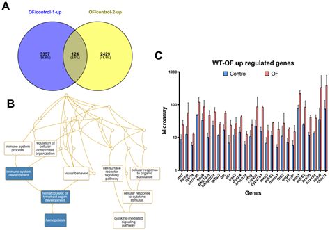 Biomolecules Free Full Text Transcriptomically Revealed Oligo