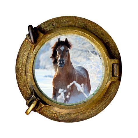 Stickers Trompe L Oeil Hublot Cheval Dans La Neige Tatoutex Stickers