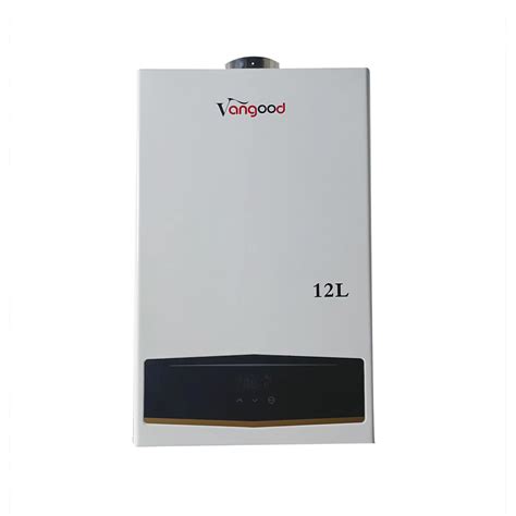Indoor Tankless Gas Constant Temperature LPG Water Heater 12L Gas Water Heater And Gas Hot