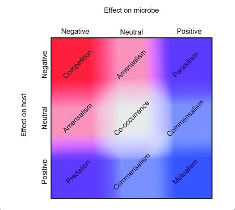 Symbiotic Relationship Continuum Symbiotic Relationships Encompass