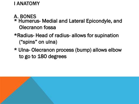 I Anatomy A Bones Humerus Medial And Lateral Epicondyle And