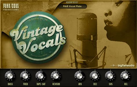 First Look Vintage Vocals By Big Fish Audio Funksoul Productions