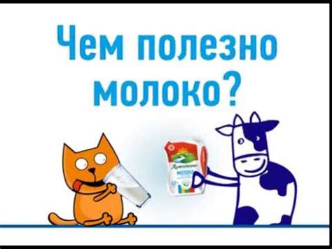 Лужайкино — 1. Откуда берется молоко? 2. Чем полезно молоко? - YouTube