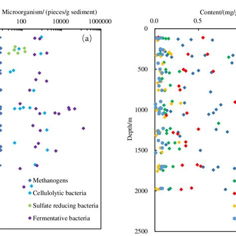 Vertical Distribution Map Of Organic Matter Components And