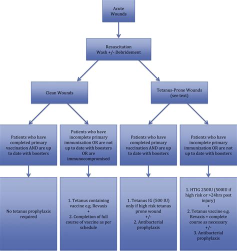 Tetanus Algorithm | Hot Sex Picture