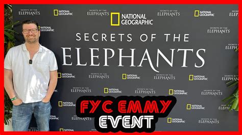 Secret Life Of Elephants Fyc Emmy Event Youtube