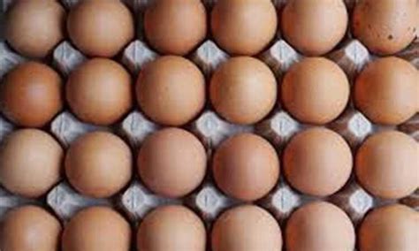 Sri Lanka Gives Green Light To Import Eggs From India