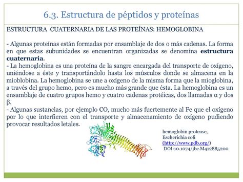 AMINOÁCIDOS PÉPTIDOS Y PROTEÍNAS ppt descargar