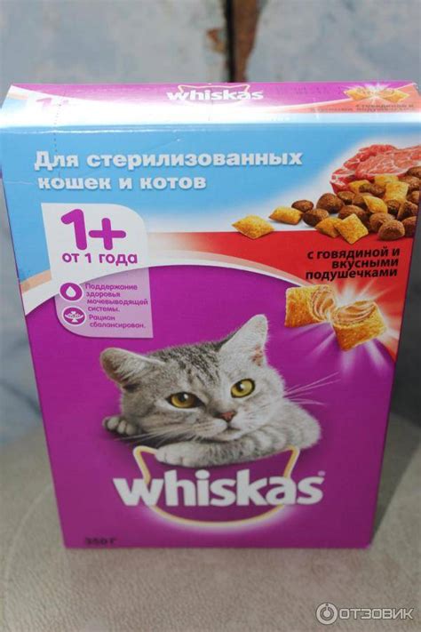 Можно ли кастрированного кота кормить обычным кормом: Чем отличается ...
