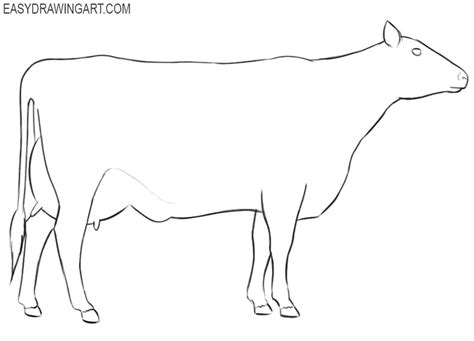 How to Draw a Cow - Easy Drawing Art