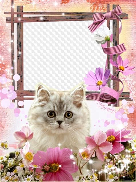 Рамки с кошками: Рамки с кошками - Рамки для фотографий AKVIS