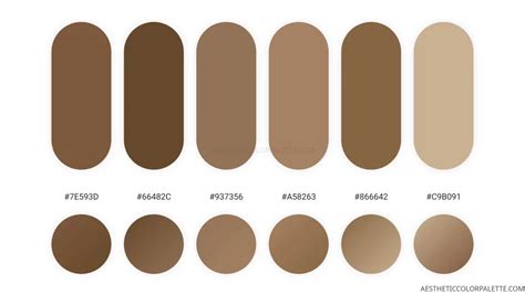 Beige Colors Aesthetic Color Palette