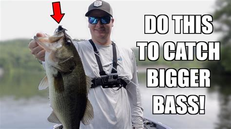 Jig Fishing Tips To Catch Bigger Bass Bass Fishing Tips Youtube